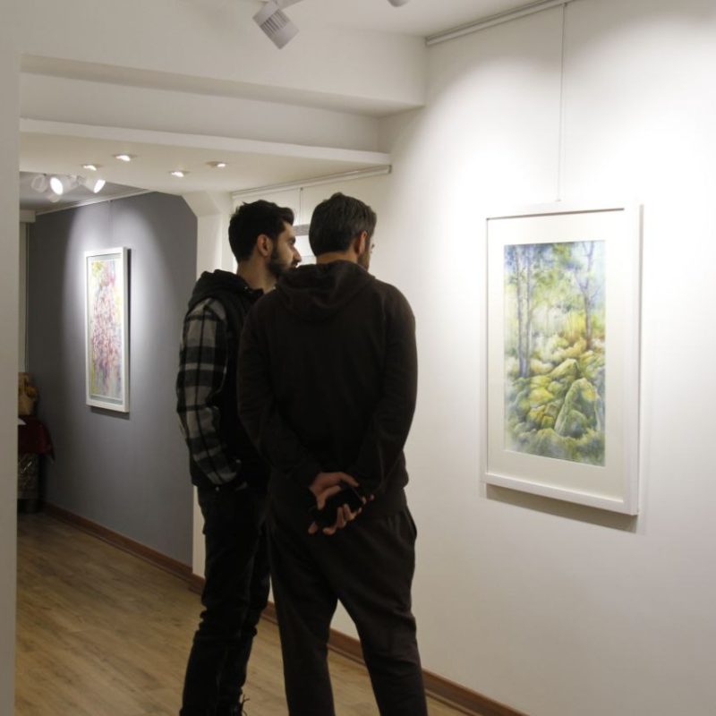 IMG_20241129_120206_197